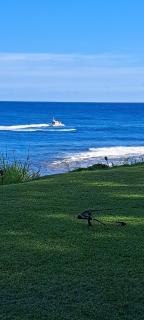 This is it! Dreamy Beach, Stunning Views, Awesome Location - Kilauea - 2