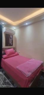 Amazing 2 Bedroom Hotel Apartment in the Heart of Cairo - Cairo - 4