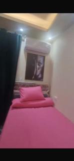 Amazing 2 Bedroom Hotel Apartment in the Heart of Cairo - Cairo - 3