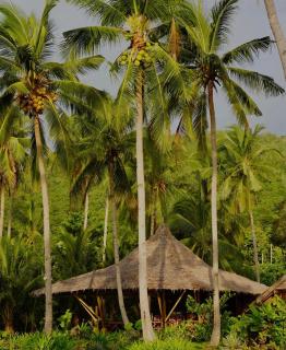 Eco Sanctuaries Nature Lodge Nacpan Beach, El Nido - El Nido - 4