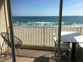 Magnifique T3 Climatisé avec Parking Canet-en-Roussillon - FR-1-833-10 - 3