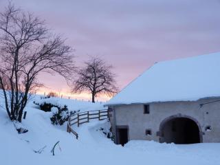 Gîte Vosges : nature, cheminée, animaux acceptés - FR-1-583-379 - Corravillers - 9