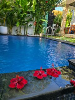Villa Mustika - Ubud - 6