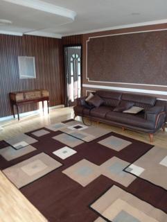 Apartment Shafi 8 - 2