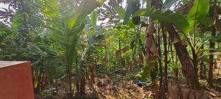 Sandesh Home Stay - Bālarāmpuram - 2