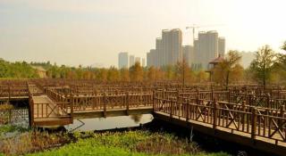 Xana Hotelle Xiamen Airport Zone Government - Xiamen - 4