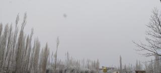 Arctic Villa - 1