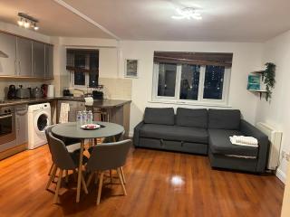 Beautiful View Apartment Near Canary Wharf - Londra - 9