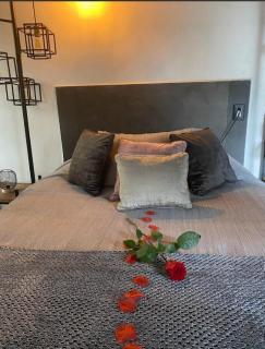 Casa DARZANA - - 2