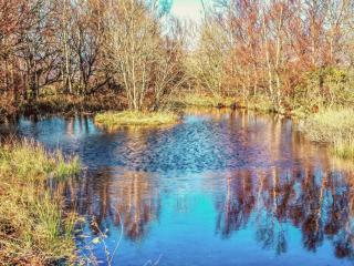 Arthfan - Llanelltyd - 1