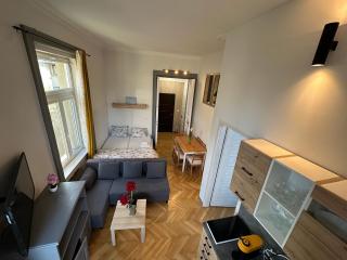 Central Panorama Balcony ,2AC,2BR Renovated - 4