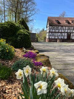Pension Untere Mühle - Burghaun - 9
