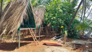 Coco Palm Eco Resort - Achra - 2