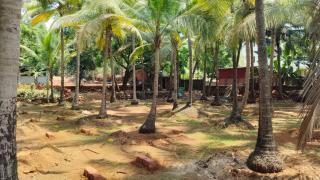 Coco Palm Eco Resort - Achra - 1