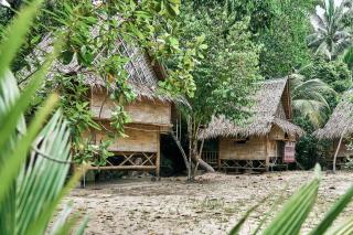 KOEL Kawow - Hinkong - 0
