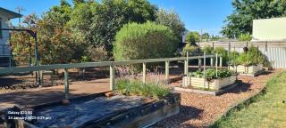 Artist cottage in the Goldfields - Dunolly - 2
