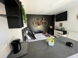 "Le Maloya" Chalets independants -Chambre Balneo - Relais Motards - Lacaune - 1