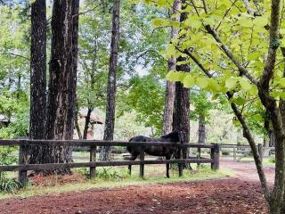 Charming Studio in Somersby - Somersby - 3