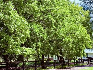 Charming Studio in Somersby - Somersby - 5