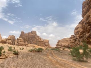 Pink sands Luxury Camp - Disah - 4