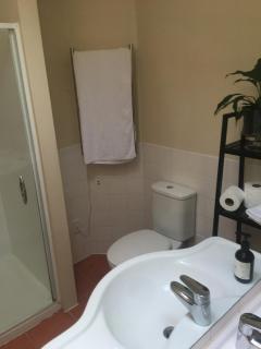 Bedroom with ensuite - Auckland - 4