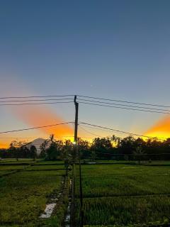 Lila Sari Guest House Rom Only - Penginyahan - 8