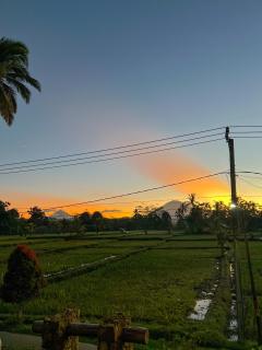 Lila Sari Guest House Rom Only - Penginyahan - 6
