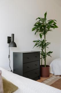 Apartment for friends & families - 5