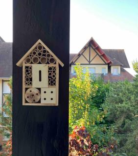 Appartement, Cabourg Plage, Centre ville - Aquilon - Cabourg - 5