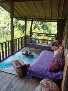 Ubud Jungle River - Ubud - 1