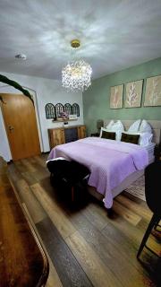 Cozy Pet-Friendly Apartment - Meißen - 8