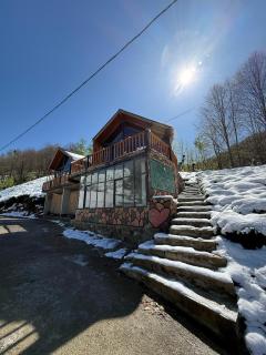 VAESS Villa Dağ Evleri - Çamlıhemşin - 3