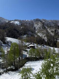 VAESS Villa Dağ Evleri - Çamlıhemşin - 9