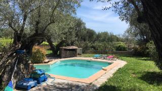 PROVENCALe VILLA WITH POOL AND HOT TUB IN VAR - Solliès-Pont - 4