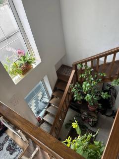 Family hostel Toshkent - - 2