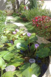Le Macaron Garden Stay - City Boutique Hotel Da Lat - Dalat - 9