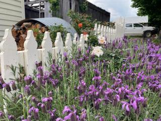 OLDGREENWELLS B&B - Walcha - 4