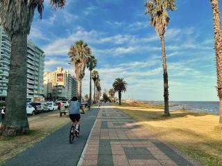 Hermoso apartamento triplex en Punta Carretas - Montevideo - 9