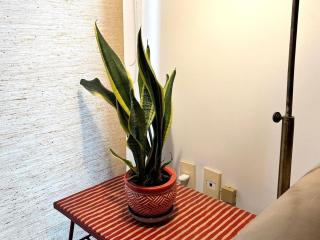 Hermoso apartamento triplex en Punta Carretas - Montevideo - 4
