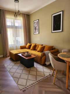 Olive Apartment 1 - Oradea - 2