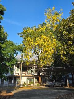 Whales Come to the River - Riverside - 3 rooms on 2nd floor - Ban Bang Phli Nua - 9
