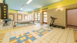 Vila Praha Braník - Wellness, Fitness, Garden - Prague - 3