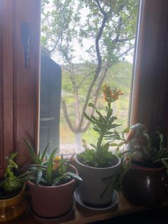 Guesthouse Bioce - - 6