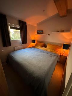 Luxe chalet met serre - IJhorst - 5