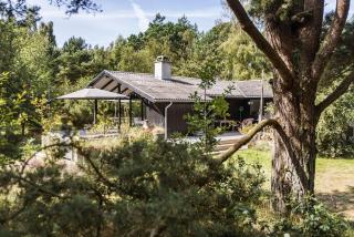 Big cabin near perfect bathing sand beach - 6