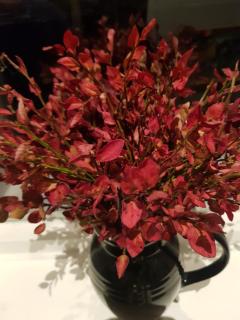 Annex Fjara greater Oslos best view sleeps 10 guests in 3 bedrooms - 4