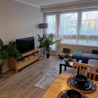 Shepherds Bush Flat Work and Leisure Stay - Londra - 0