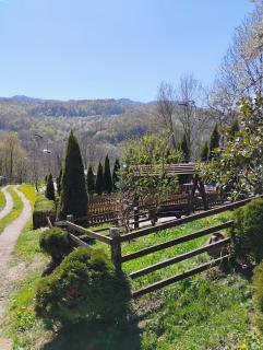 Cabana Elena - Private SPA - Brădetu - 3