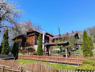 Cabana Elena - Private SPA - Brădetu - 2