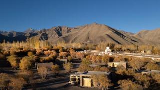 The Postcard in The Himalayan Willows, Stok, Leh - Leh - 0